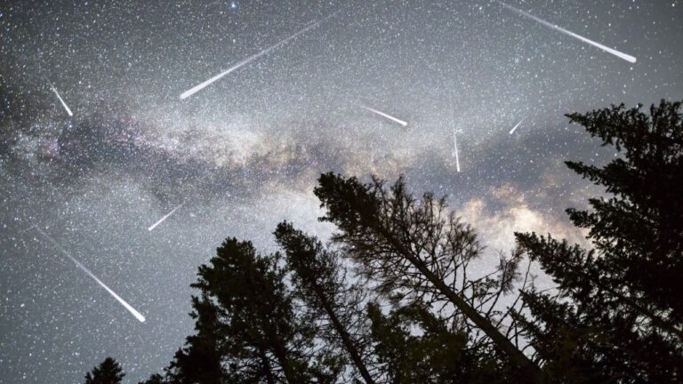 perseidas