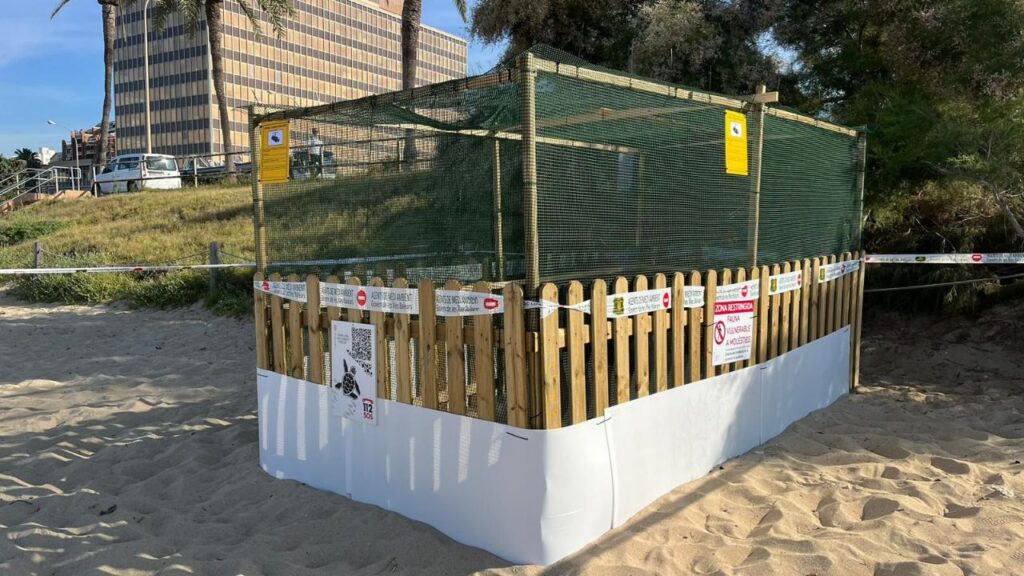 proteccion-tortuga