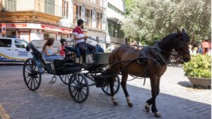 Calesas y Policia Local