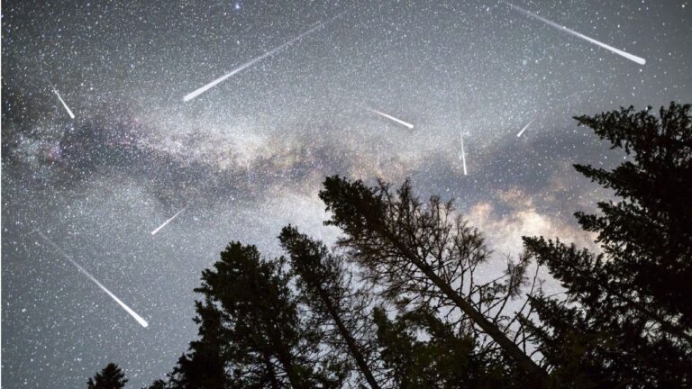 perseidas