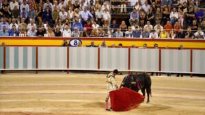 toros palma el fandi