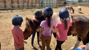 caballos ponis ni&ntilde;os