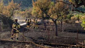 Archivo: Bomberos del Ibanat apagando un incendio agr&iacute;cola.