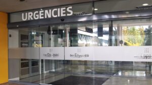 Imagen de archivo: Son Espases.