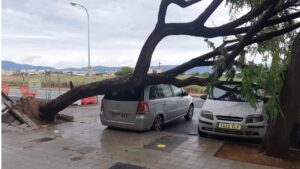 Ciudad Jard&iacute;n