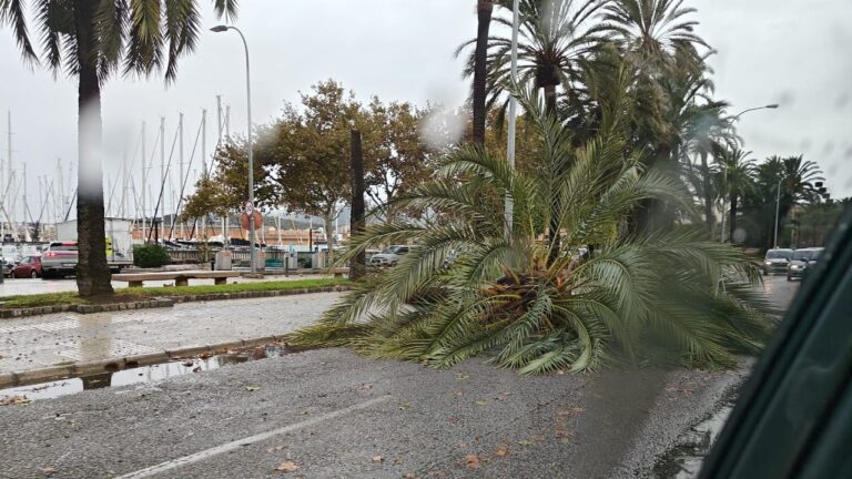 Imagen de archivo: Temporal Betty