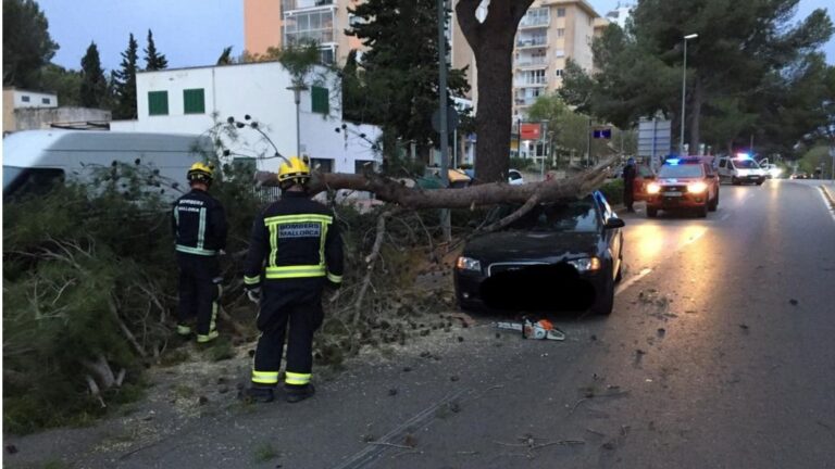 Calvià temporal