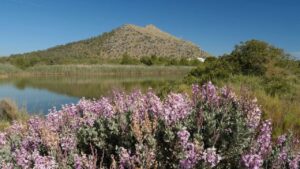 Estany des Ponts, en Alc&uacute;dia