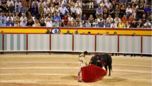 toros palma el fandi