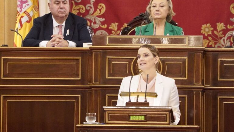 prohens senado
