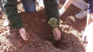 Santuario de abejas en la finca p&uacute;blica de Galatz&oacute;