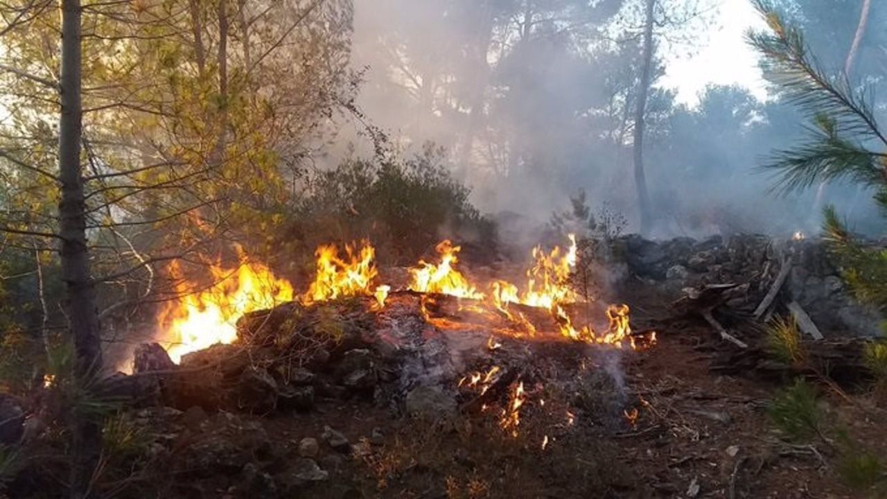 Imagen de archivo: Uno de los incendios provocados por el pir&oacute;mano de Esporles en 2019.