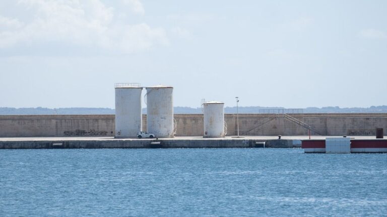 Muelle de Palma