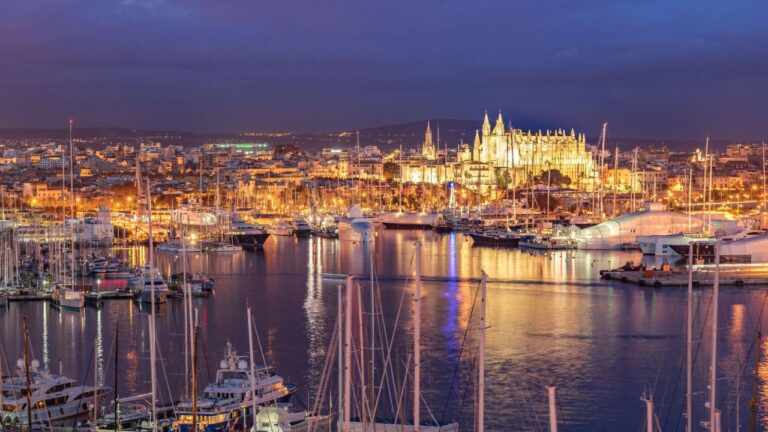 Seu Palma de noche