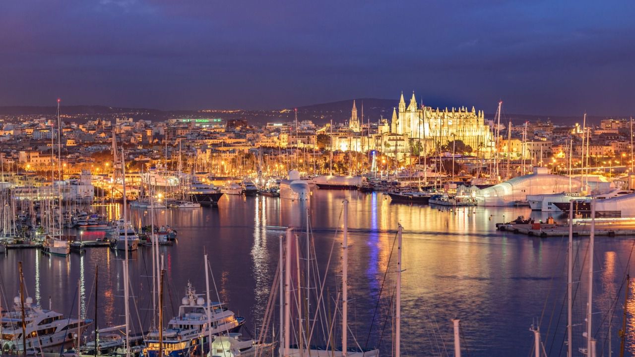 Seu Palma de noche