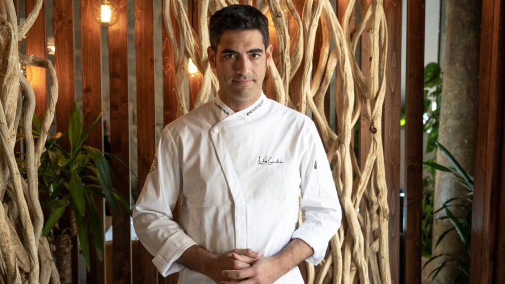 andreu genestra aromata