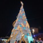 Árbol de Navidad iluminado en Palma con decoraciones festivas.