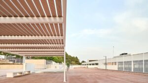 liceo frances colegio