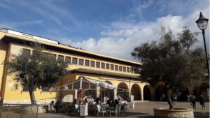 plaza mercado olivar tiempo