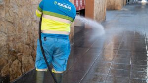 emaya limpieza palma