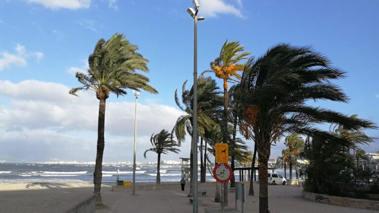 viento temporal