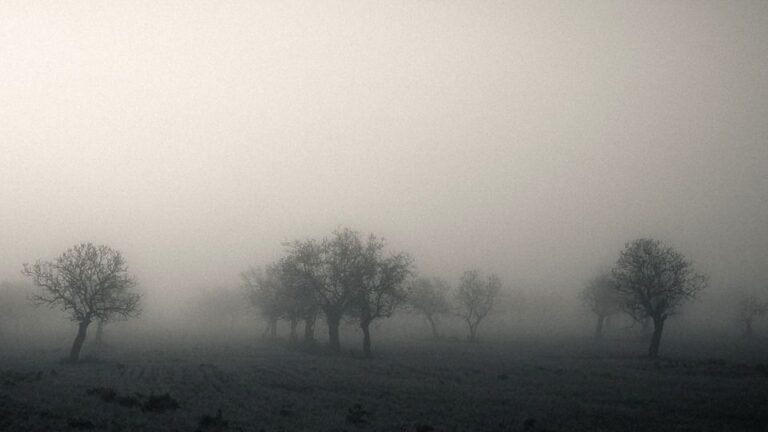 Imagen de archivo.
