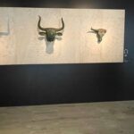 caps de bou de Costitx