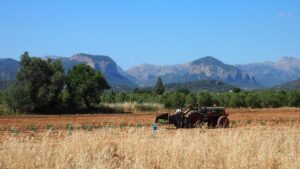 agricultura ecologica