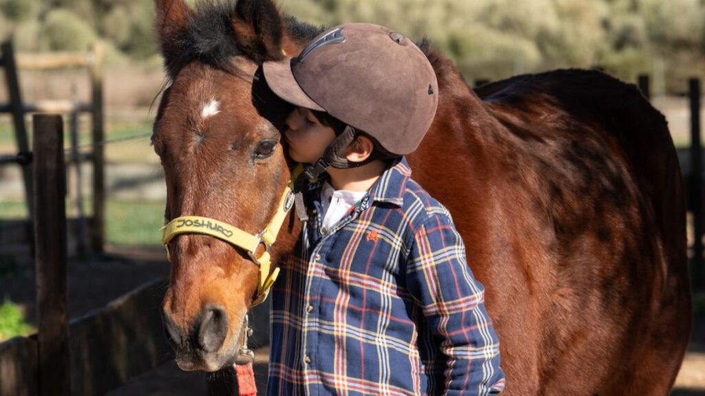 niño caballo s hort vell