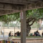 Andratx parque