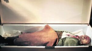 espa&ntilde;ol disecado momia