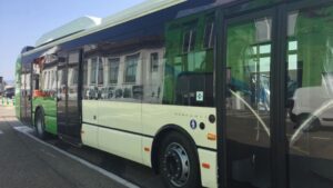 autobus palma emt