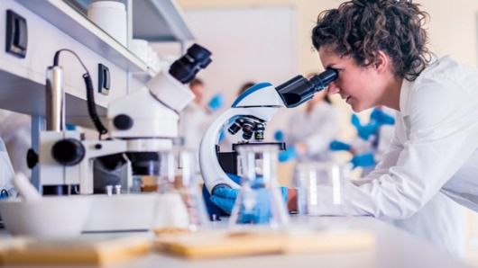 laboratorio