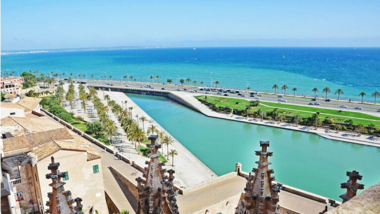 Palma tiempo