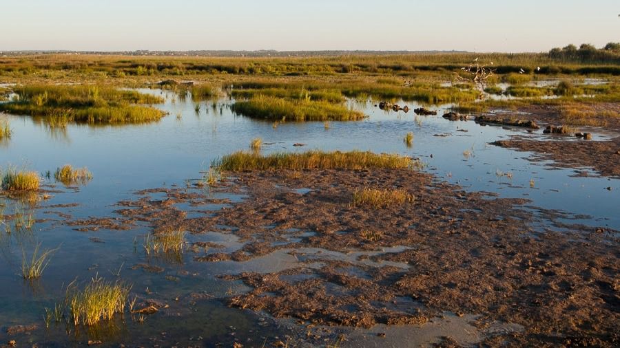 Albufera