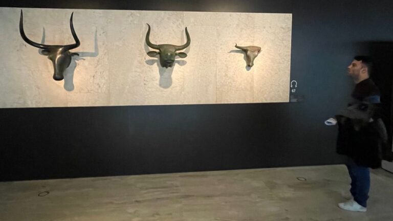 caps de bou de Costitx