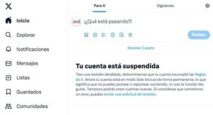 suspension twitter x