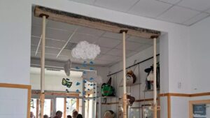 CEIP Selva