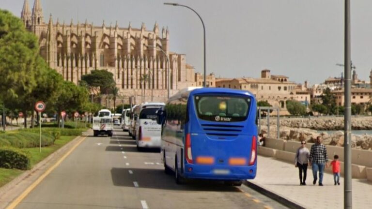 autobuses escolllera palma