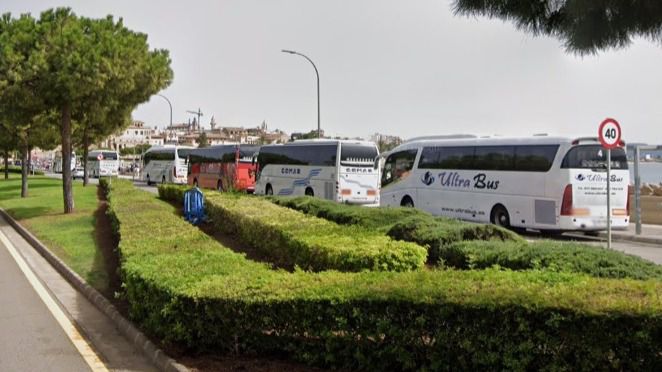 autobuses escolllera palma