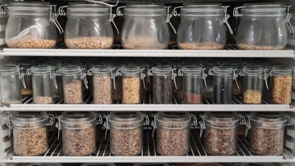 agricultura gastronomia alimentos