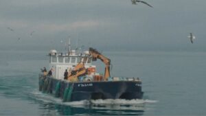 Fotograf&iacute;a: Balfeg&oacute;