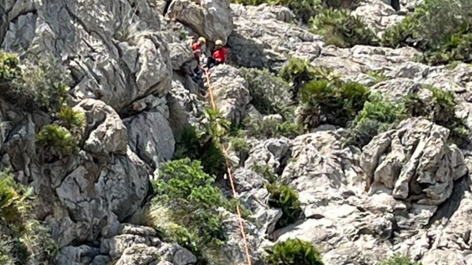 Foto: Bombers de Mallorca.