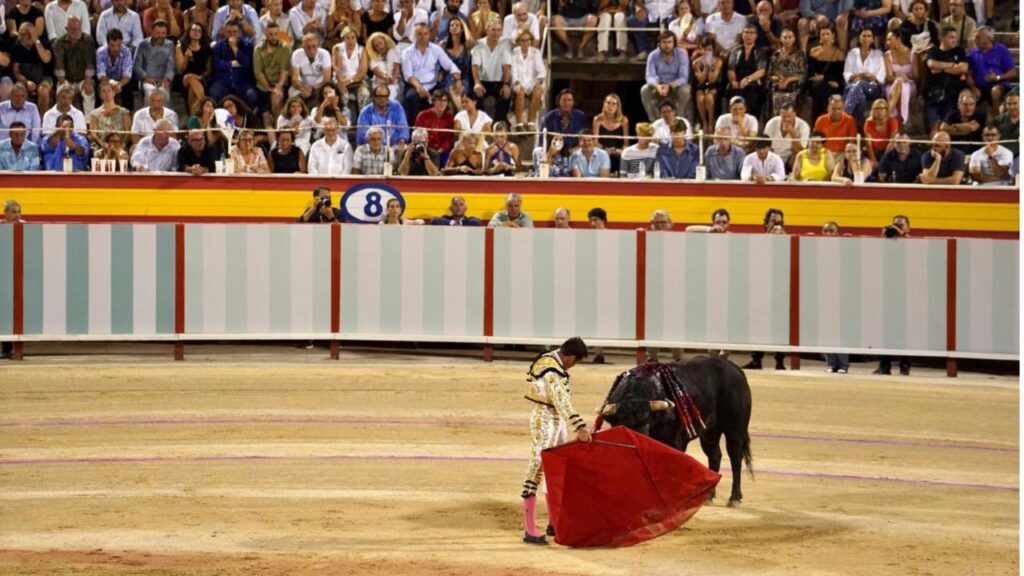 toros palma el fandi
