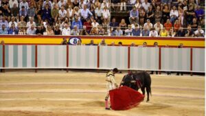 toros palma el fandi