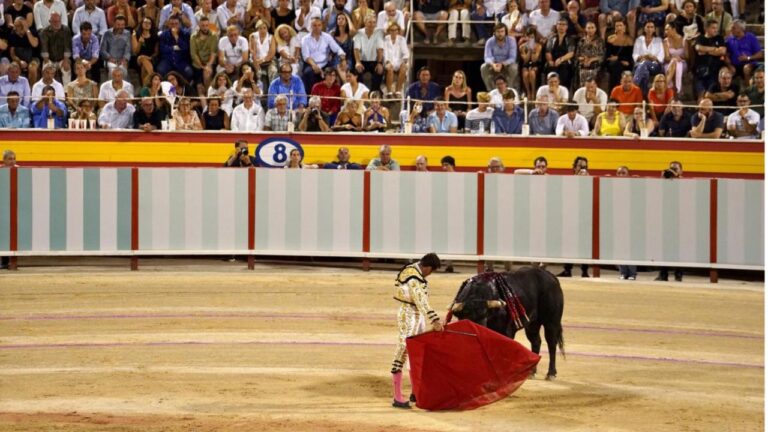 toros palma el fandi