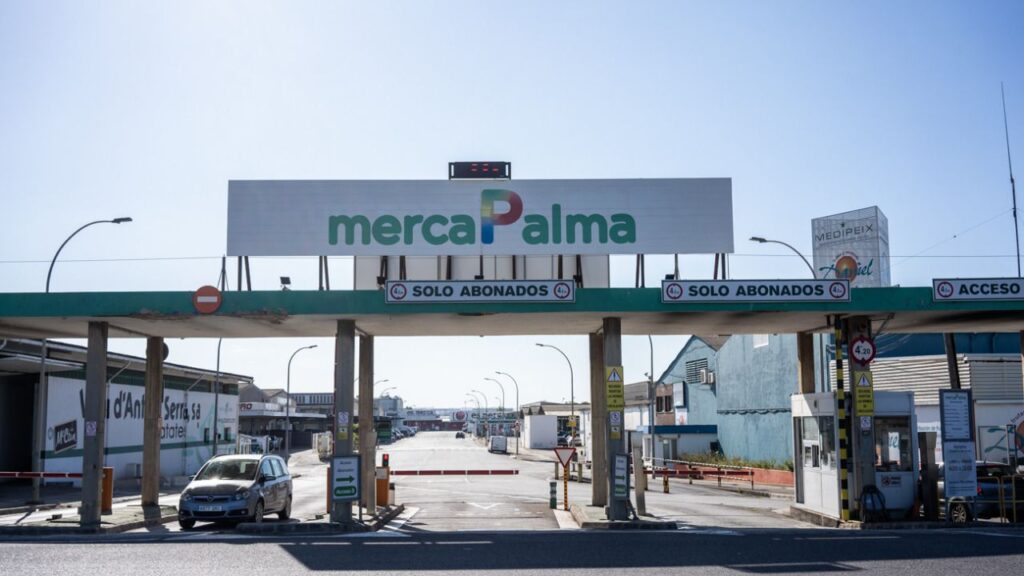 mercapalma