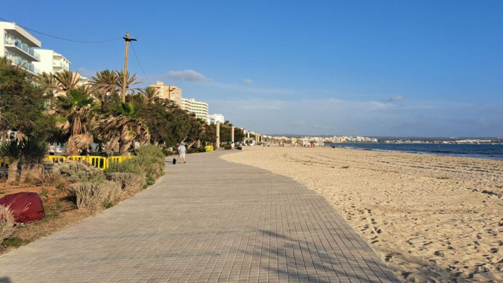 playa de palma obras colector