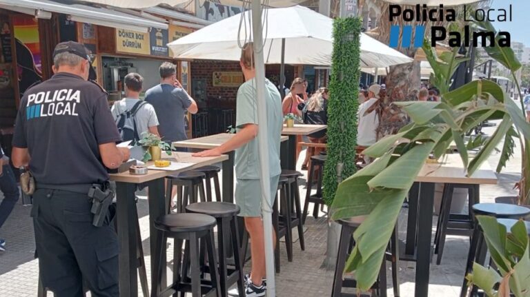 policia local palma inspección