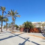 port alcudia
